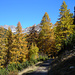Goldener Herbst