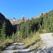 Hier zweigt man nach links fallend vom Weg zur Baumgartalm ab. Im Hintergrund Muttlerkopf und Tajaspitze