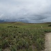 durch endlose Steppe erkennen wir am Horizont in den Wolken erste Tepui-Umrisse