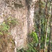 die Südwand des Roraima - hier führt nun La Rampa weiter empor