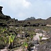 Roraima-Wetter zeigt sich recht gnädig: Sonne auf dem Stein und Sand-Plateau
