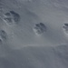 Foto von der zweiten Besteigung am 4./5.11.2012: <br /><br />Fuchsspuren. Nach den Spuren von einigen Tieren waren seit dem letzten Schneefall keine Menschen auf dem Furggengütsch.