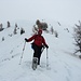 INCREDIBILE: Avvistato un elefante sulla neve in Valtellina