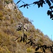Der Sporn von Fogola von der Seite