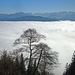 Blick über den Nebel zum Karwendel (Zoom).
