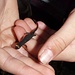 Brillensalamander (Salamandris terdigitata)