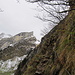 Aufstieg durch eine gesicherte Felsstufe Richtung Altenalp. Im "entlaubten" Zustand sieht man erst richtig, dass es seitlich ordentlich runter geht