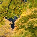 ..und drumherum Herbst vom Feinsten