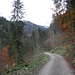EIn breiter Weg führt ins Tal hinein das vor allem zur Holzgewinnung und Jagd genützt wird.