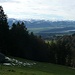 Lichtung mit Blick zu Obersee und Buechberg