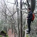 one man standing on a tree