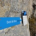Unter dem Gipfelaufbau: Gipfelwegweiser = Alpine Route