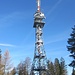 Gipfelfoto Bachtel ( 1115m )