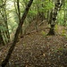 Dieser Geländerücken führt hinab zu P.509 im Valle di Gorduno

♫♬♫ Better Get To Livin' ♬♫♬
[http://www.youtube.com/watch?v=2PZNth9UUOk]
__________
_____


