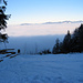 Nebel über dem Obersee, Blick ins Zürcher Oberland