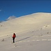 makelloser Gipfelhang des Schönbichls...zum Skifahren wars aber noch zu weing Schnee
