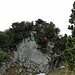 Der Schlussaufstieg zum Bogartenfirst-Gipfel: Dank der roten Jacke ist [u Lena] gut erkennbar.