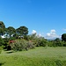 noch ist der Kili wolkenumhüllt; doch von der riesigen Gartenanlage aus ist bereits der Mawenzi zu erkennen
