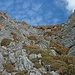 Über diese brüchige Flanke erfolgt der Abstieg vom Nordgipfel zum Klettersteig. Es ist deutlich steiler, als es im Bild wirkt.
