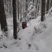 Wir kämpfen uns weglos durch den Holzschlag