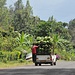 Bananentransport in Marangu © Moni 