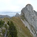 links die Gratvariante zum grossen Zahn