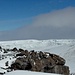 Blick über die Gipfelfelsen zu den nördlichen Gletschern © Moni