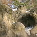 Chöpfi: Sandsteinköpfe, die im Gegensatz zum Material rundherum der Erosion standhielten.