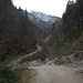 heute am Morgen beim Aufstieg über den Forstweg im Weissenbachtal ist es noch ein wenig trüb
