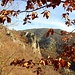 Herbst in der Wachau