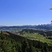 Bewaldete Aussicht vom Windwurf Richtung Einsiedeln.