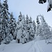 Selten sieht man hier solche Schneemassen