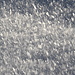 Unterwegs zum Pramenáč - Durch viel Schnee. "Locker flockig".