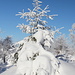 Unterwegs zum Pramenáč - Pawlowscher Reflex: Irgendwie müssen wir an Weihnachten denken ...