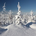 Unterwegs zum Pramenáč - Herrliche Winterlandschaft am Wegrand.