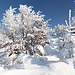 Unterwegs zum Pramenáč - Herrliche Winterlandschaft am Wegrand.