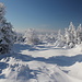 Pramenáč - Ausblick am weitläufigen Gipfel: vor allem Bäume und Schnee. Unterwegs gibt es aber immer wieder gute Aussichtsmöglichkeiten durch Schneisen und Lücken im Baumbestand.
