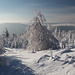 Unterwegs am Pramenáč (Rückweg) - Ausblick auf etwa 880 m, unweit des Wegabzweigs zum Pramenáč-Gipfel. Im Hintergrund zu sehen sind u. a. der Bouřňák (869 m, links) samt Skigebiet und Windrädern sowie einige Häuser von Nové Město (Ortsteil von Moldava).