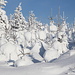 Unterwegs am Pramenáč (Rückweg) - Umgeben von herrlicher Winterlandschaft.