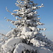 Unterwegs am Pramenáč (Rückweg) - ... und nochmals "beschleichen" uns unerklärliche Weihnachtsgefühle ...