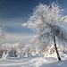Unterwegs am Pramenáč (Rückweg) - Ein Schneeschuhtour durch herrliche Winterlandschaft geht nun gleich zu Ende.