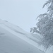 Extreme Schneeverfrachtungen auf der Schnebelhorn-Nordseite und zweifelhafte Lawinensituation mit Anrissen in der Schneedecke. Ich befand mich nah dran, aber noch auf sicherem Boden