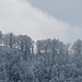 ZH-Oberlands Höhen,hier die Schindelberhöchi