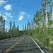 On the road tra Yellowstone e il Grand Teton National Park 