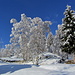 01.12.2012: oberhalb von Finnu, unterwegs nach Mund