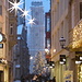 Schneesturm dreht auf, die Weihnachtstanne in Sichtweite!