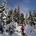 Aufstieg durch Winterwald