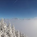 an der Nebelgrenze