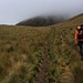 Von der Laguna da Mojanda (3722m) wandert man zuerst noch wenig steil durch die andine Graslandschaft welche Páramo genannt wird. 