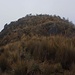 Die obersten Meter zum 4263m hohen Fuya Fuya Ostgipfel (Cerro Este). Dieser Berg ist einer der am einfachsten besteigbaren 4000er Ecuadors - aber wer noch weiter zum Hauptgipfel (Cerro Oeste; 4279m) möchte, der muss sich auf schwierigeres Gelände gefasst machen!